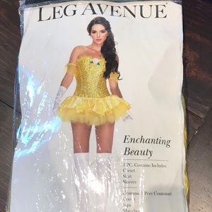 Adult princess Belle costume